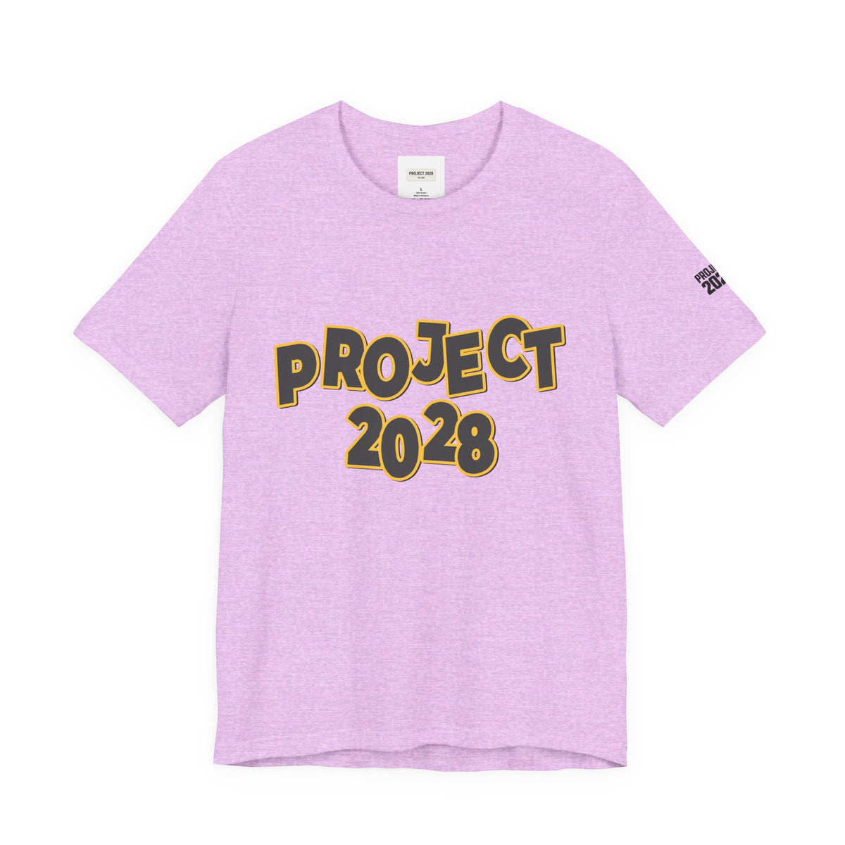 Project 2028 Graphic Tee — "Spirit Airlines Is Gone. Democracy Could Be Next. Vote Blue." Political Statement T-Shirt - Make a Statement Without Saying a Word!
