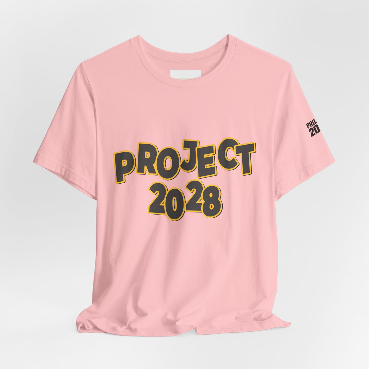 Project 2028 Graphic Tee — "Spirit Airlines Is Gone. Democracy Could Be Next. Vote Blue." Political Statement T-Shirt - Make a Statement Without Saying a Word!