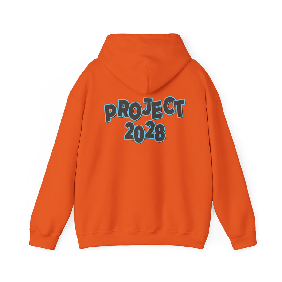 Project 2028 Hoodie | Protect Democracy, Project 2028 design