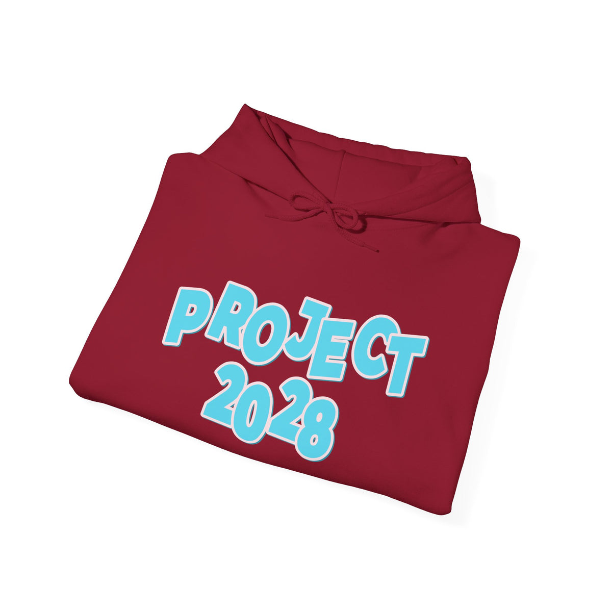 Project 2028 Hoodie | Democracy | Social Awareness