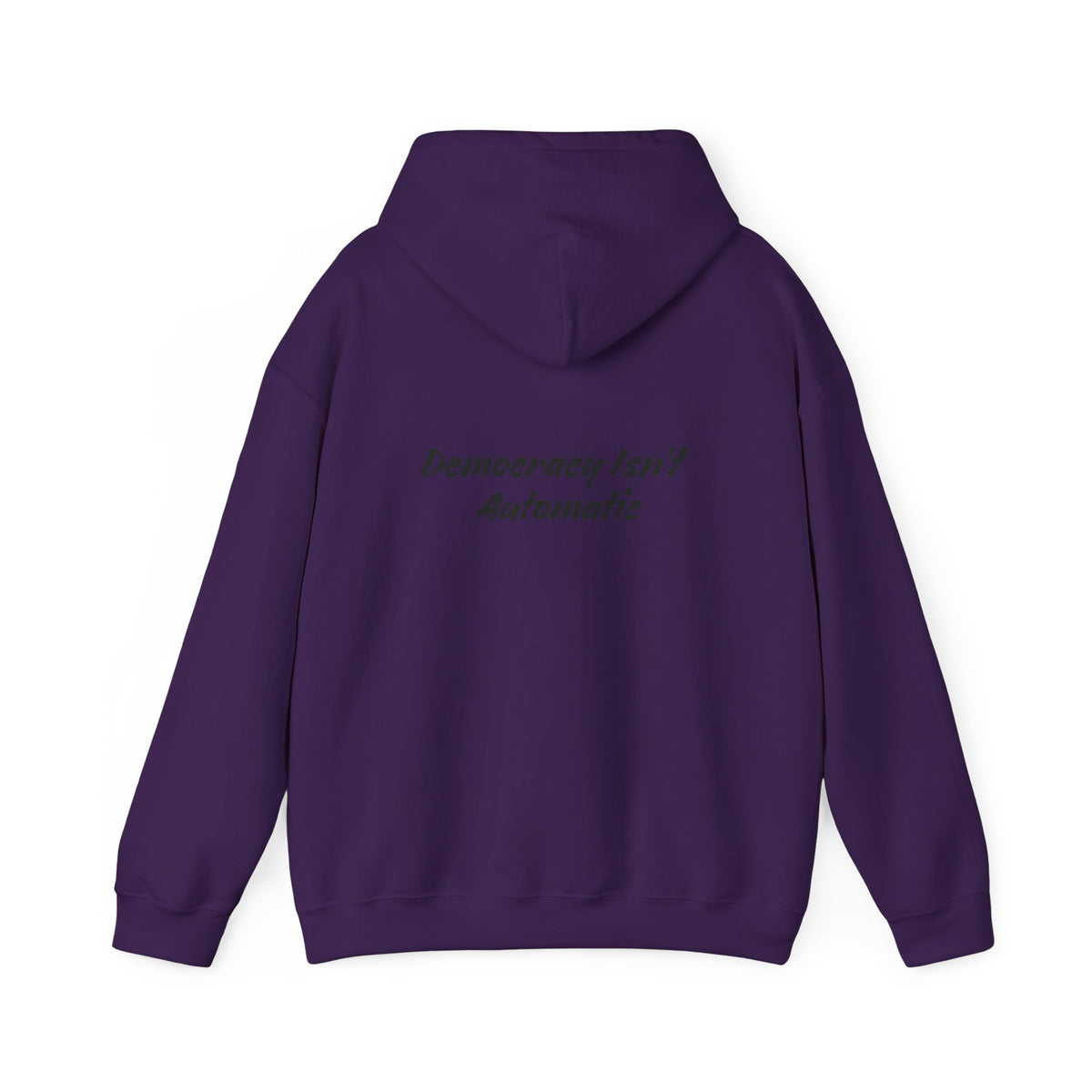 Protect Democracy Project 2028 Hoodie | democracy text design