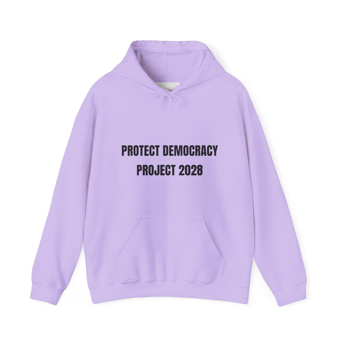 Protect Democracy Project 2028 Hoodie | democracy text design