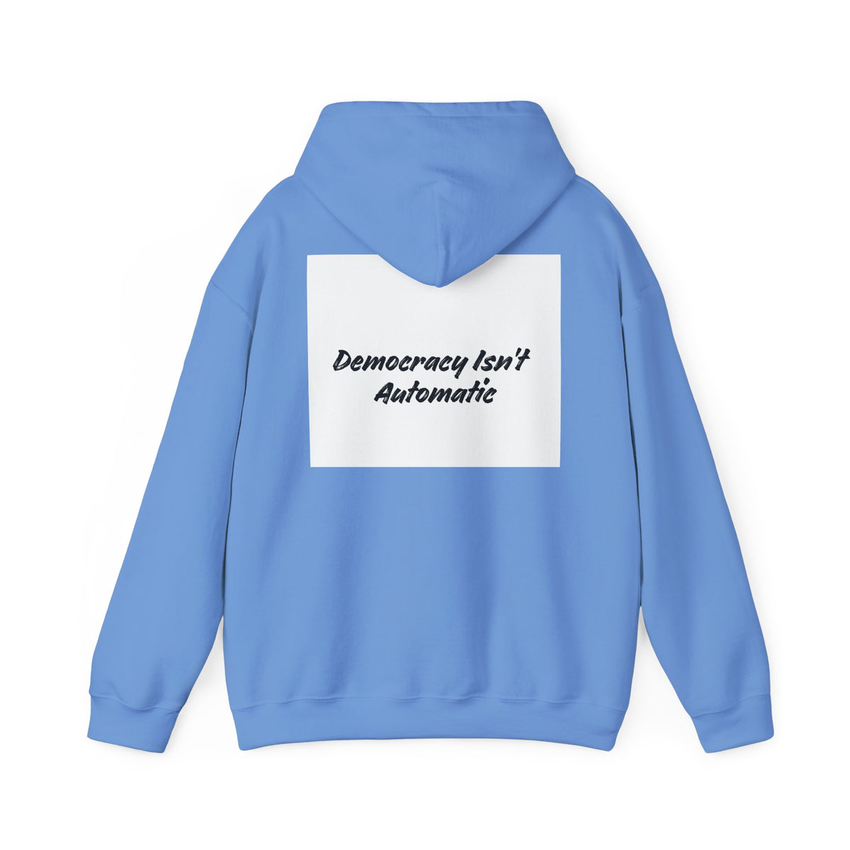 Protect Democracy Project 2028 Hoodie | Social Awareness