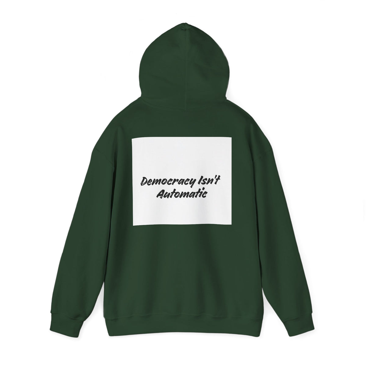 Protect Democracy Project 2028 Hoodie | Social Awareness