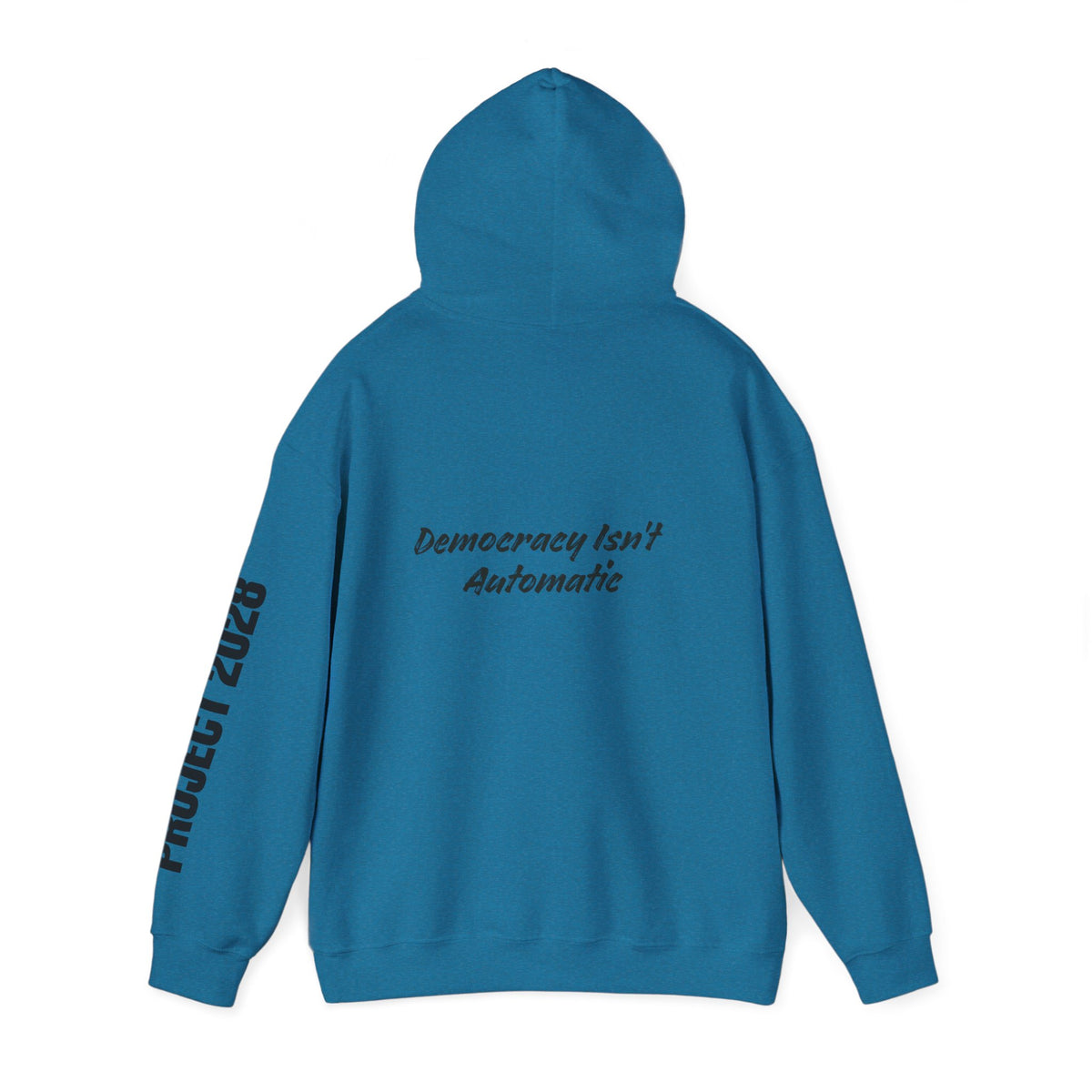 Protect Democracy Project 2028 Hoodie | Social Awareness