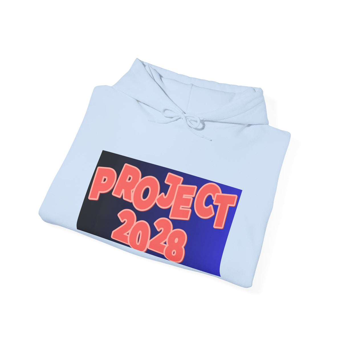Project 2028 Hoodie | Social Justice