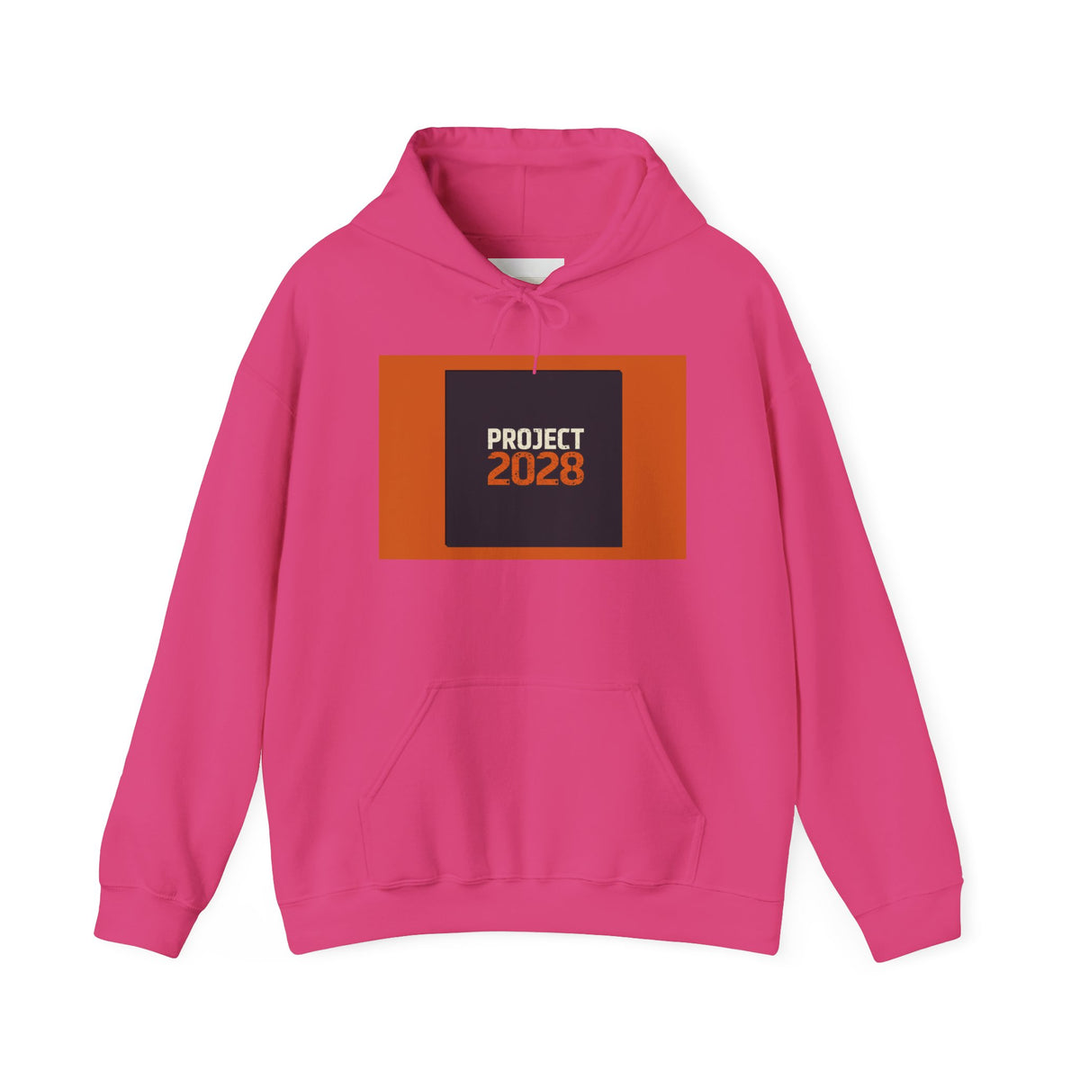 Project 2108 Graphic Hoodie | Democracy Isn't Automatic Back Print