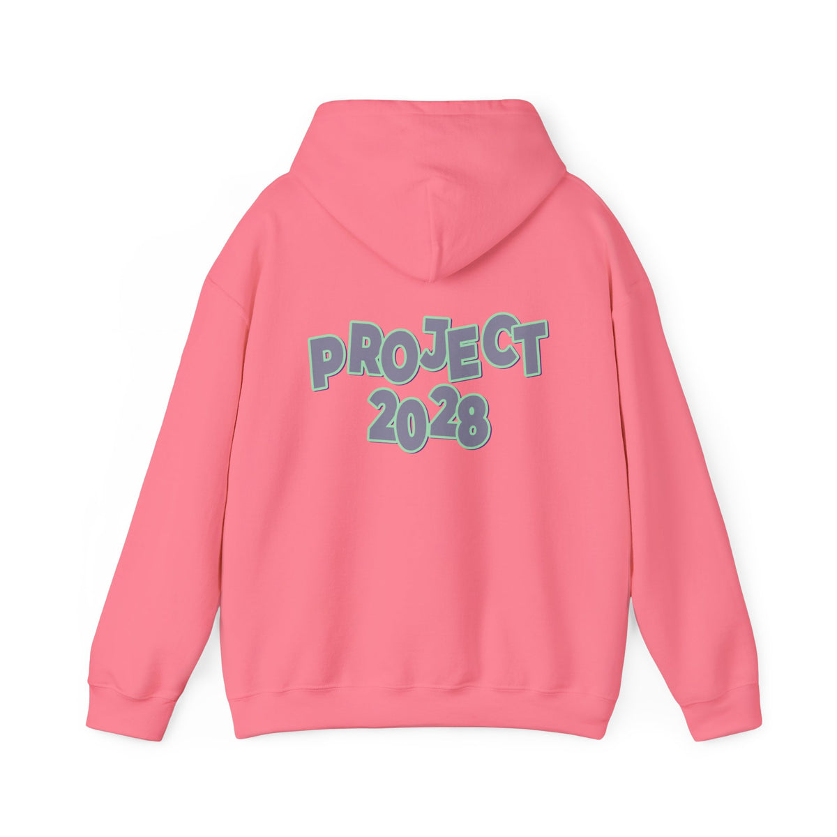 Project 2028 Hoodie | Protect Democracy graphic hoodie