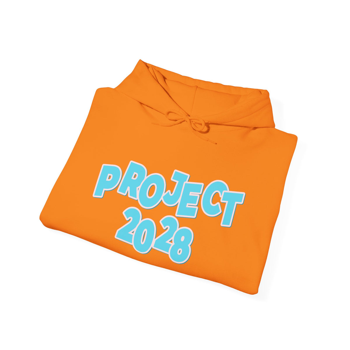 Project 2028 Hoodie | Democracy | Social Awareness