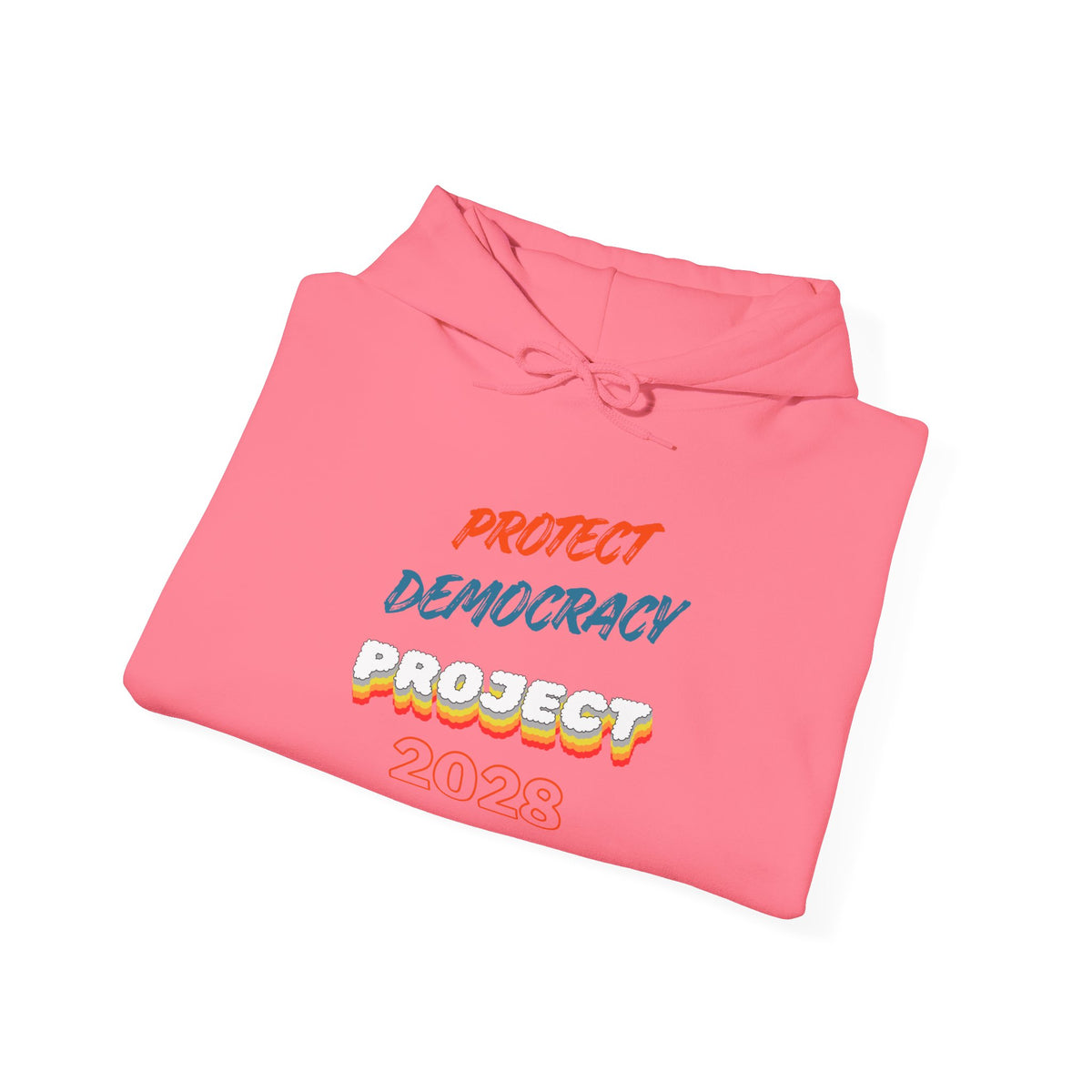 Protect Democracy Project 2028 Hoodie | Social Awareness