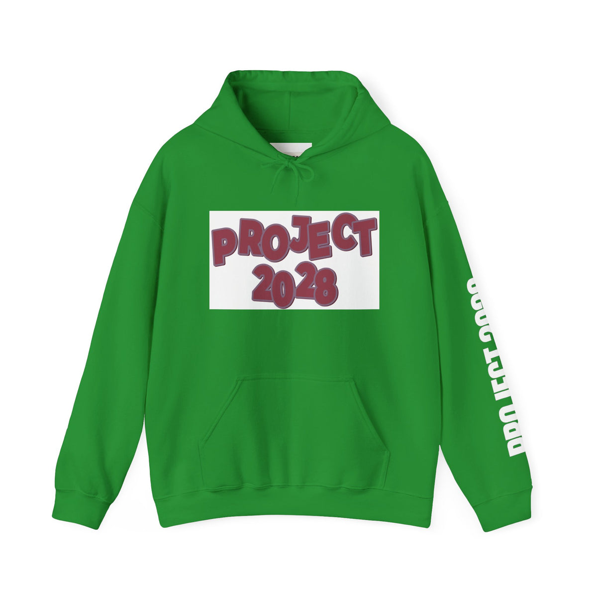 Project 2028 hoodie | Democracy Isn't Automatic back print