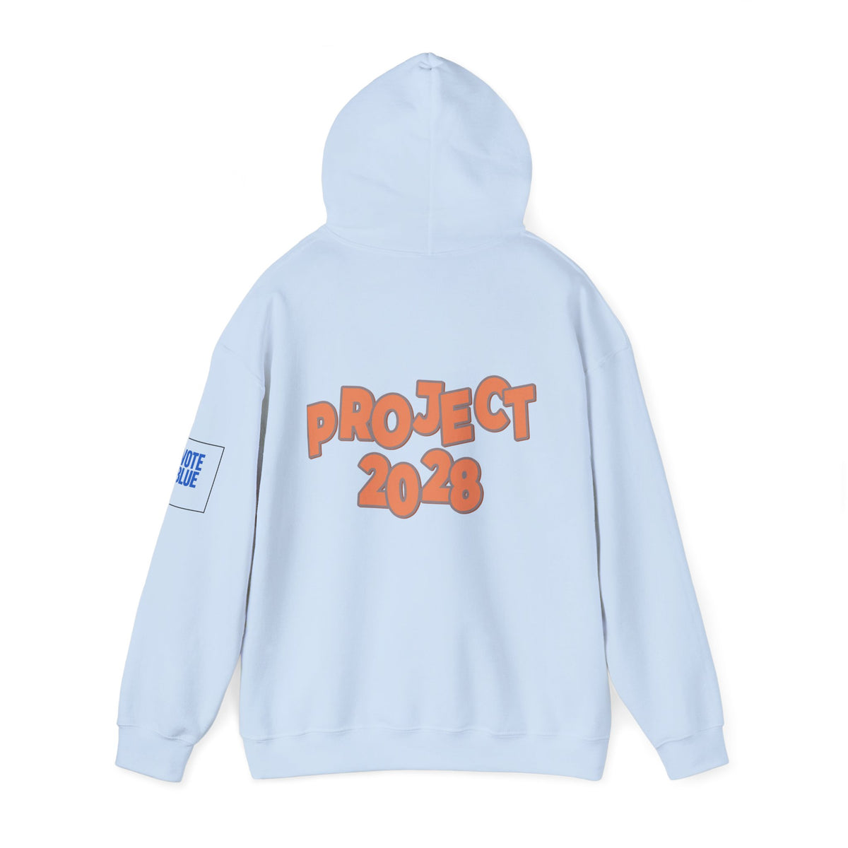 Protect Democracy Project 2028 Hoodie | Social Awareness