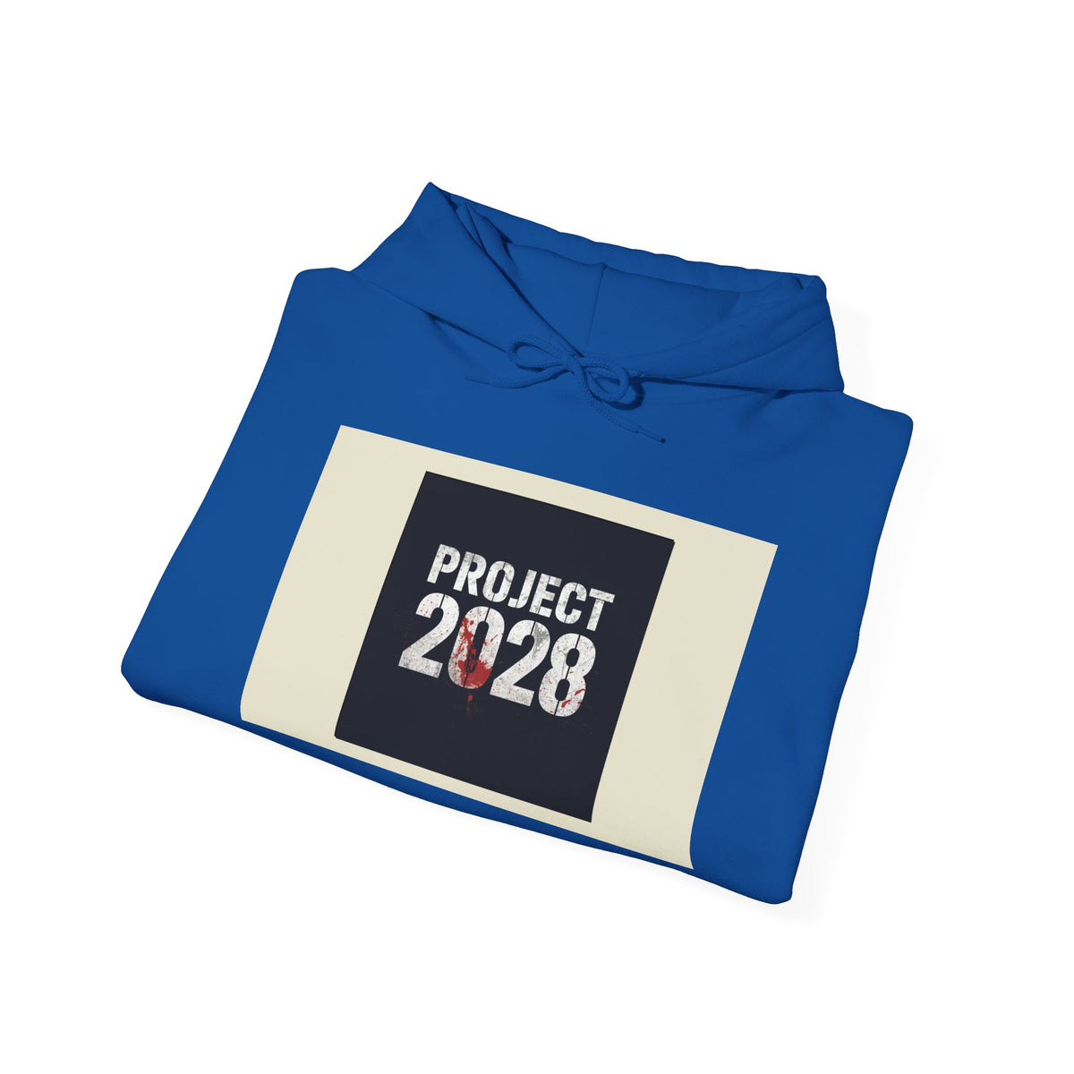 Product 2028 graphic hoodie | Democracy | Social Justice