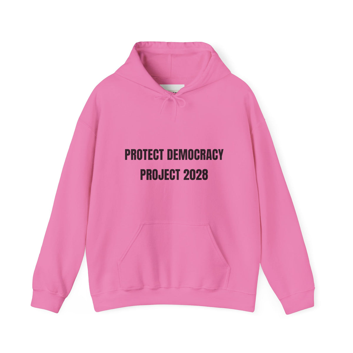 Protect Democracy Project 2028 Hoodie | democracy text design