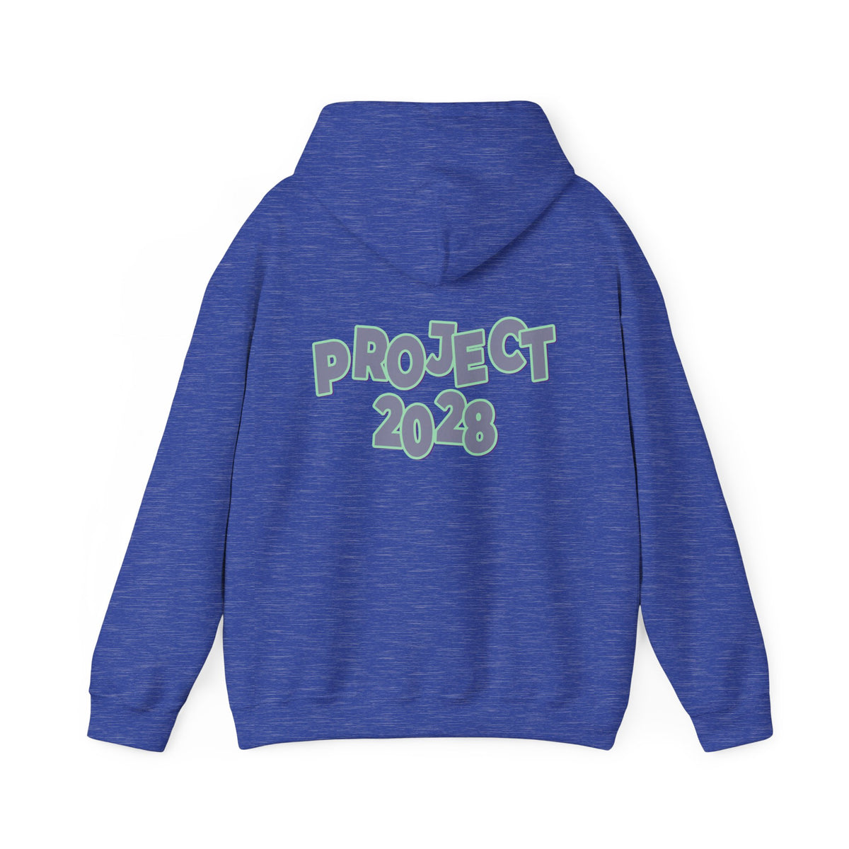 Project 2028 Hoodie | Protect Democracy graphic hoodie