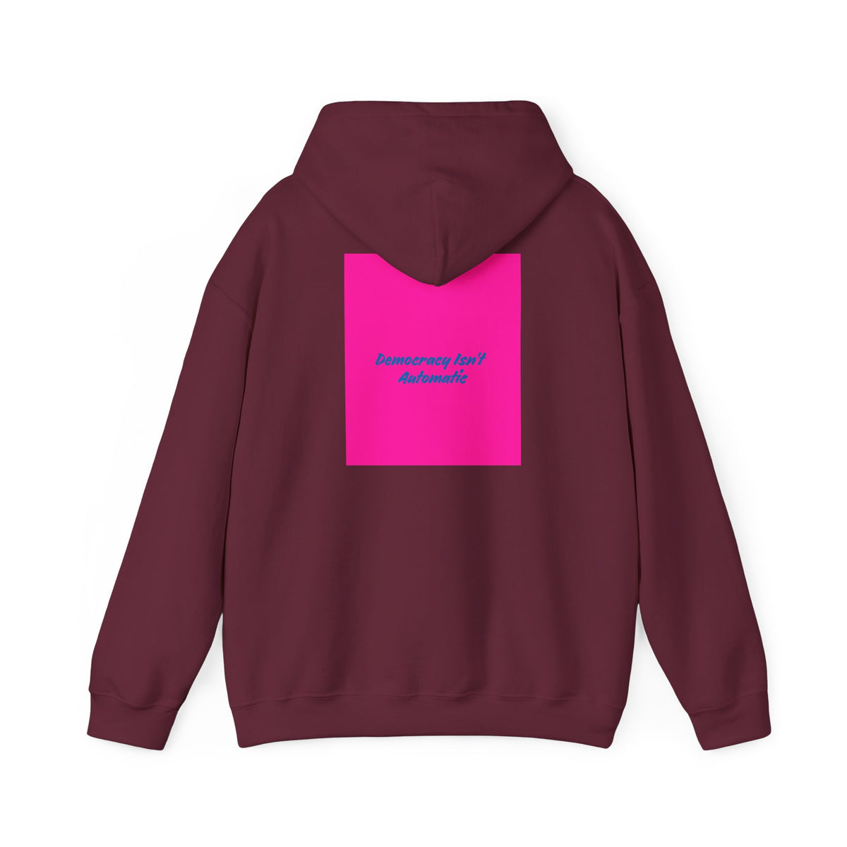 Project 2028 Hoodie | Social Awareness