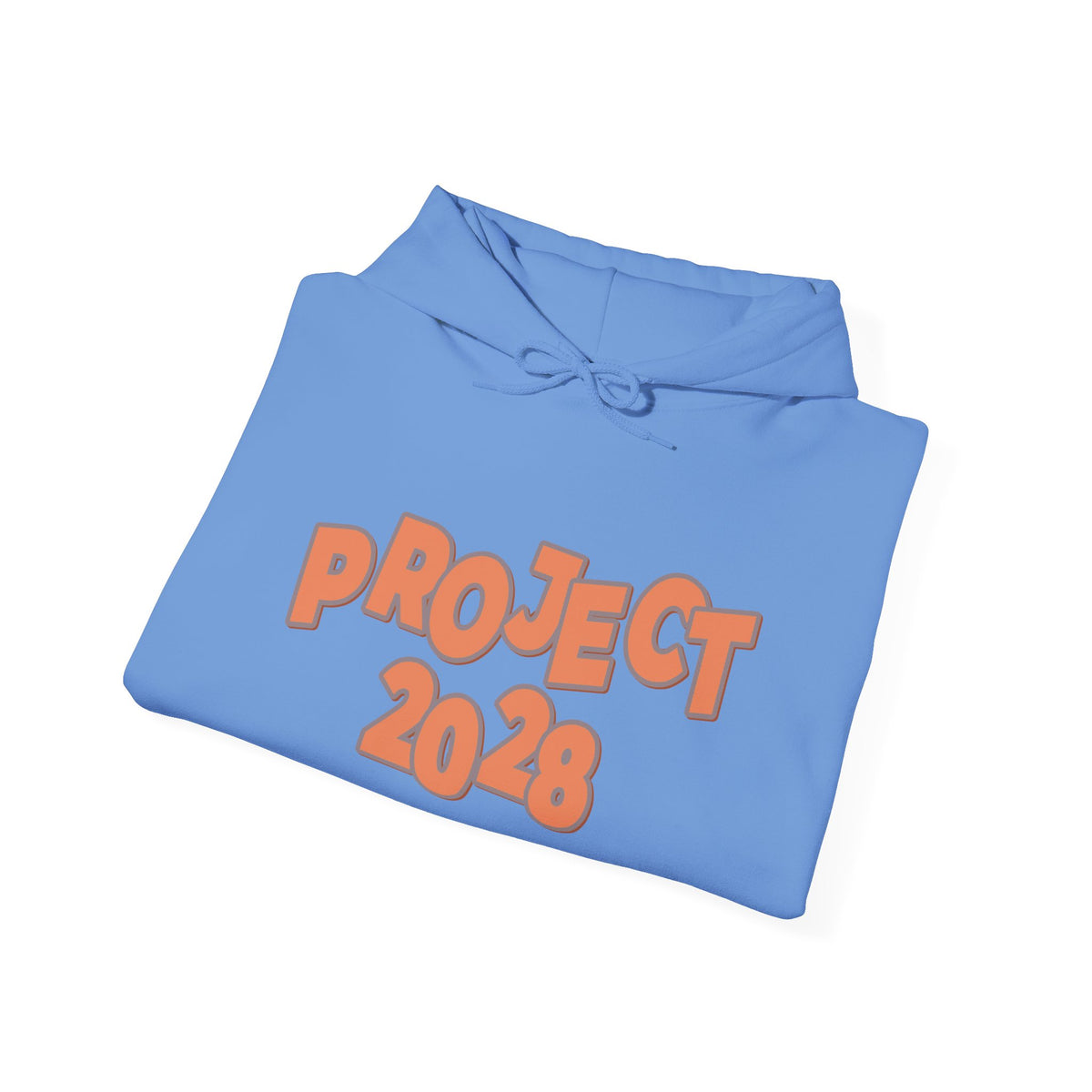 Project 2028 Hoodie | Democracy | Social Justice Message