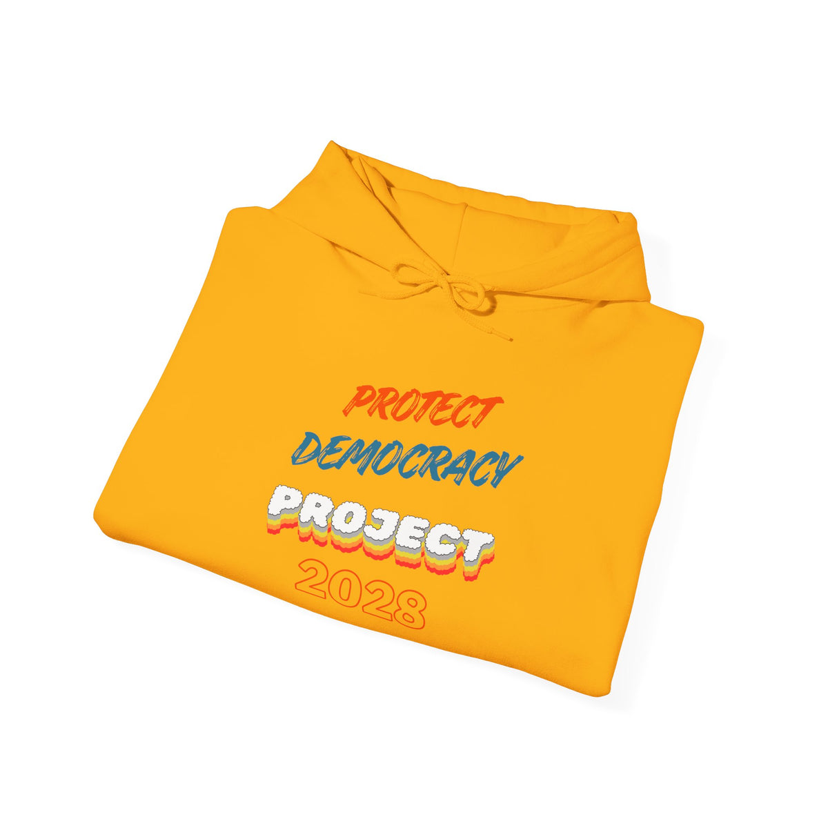 Protect Democracy Project 2028 Hoodie | Social Awareness