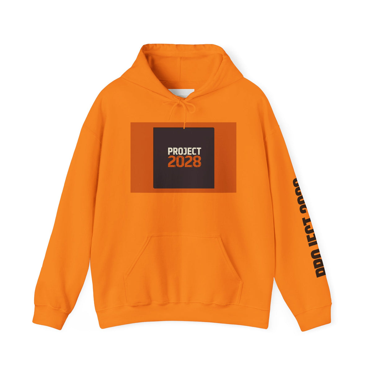 Project 2108 Graphic Hoodie | Democracy Isn't Automatic Back Print