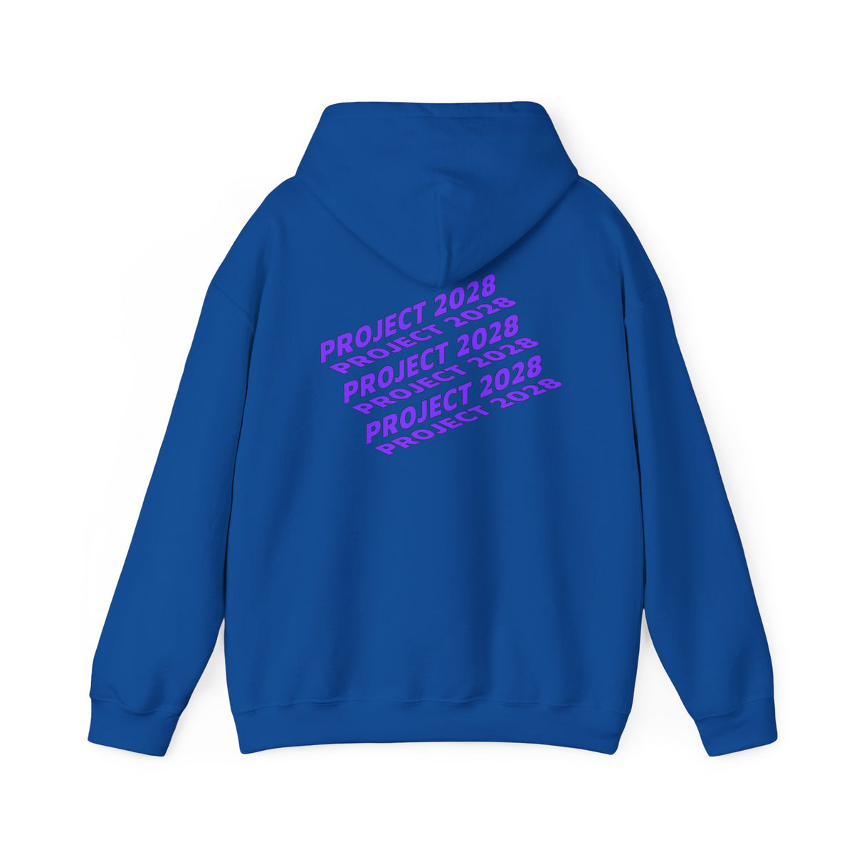 Project 2028 Hoodie | Social Justice
