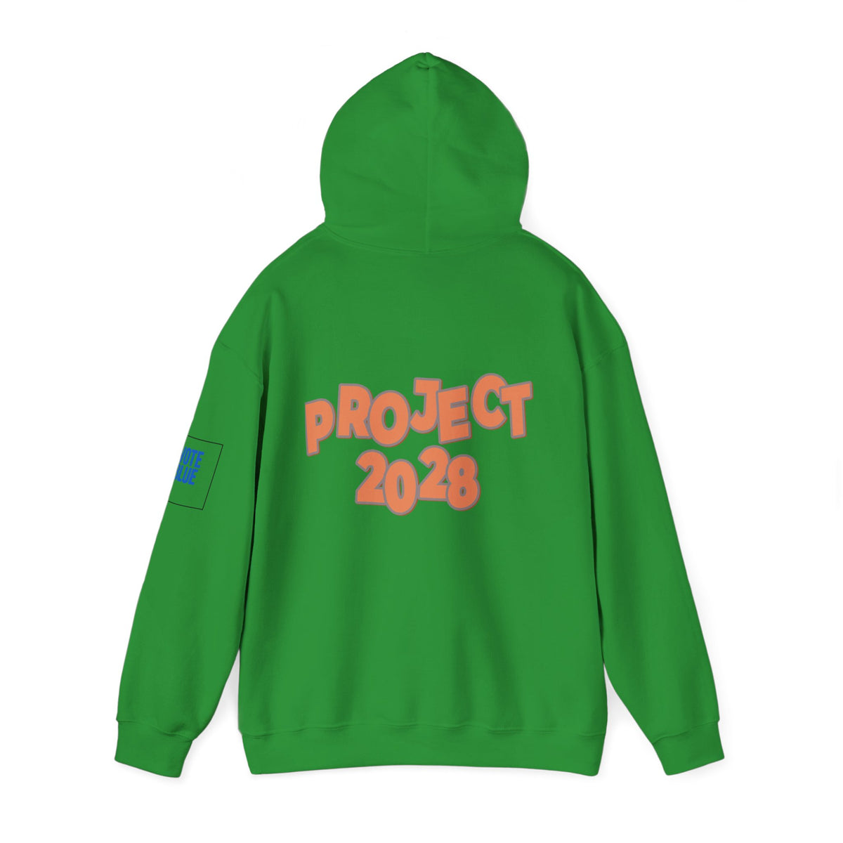 Protect Democracy Project 2028 Hoodie | Social Awareness