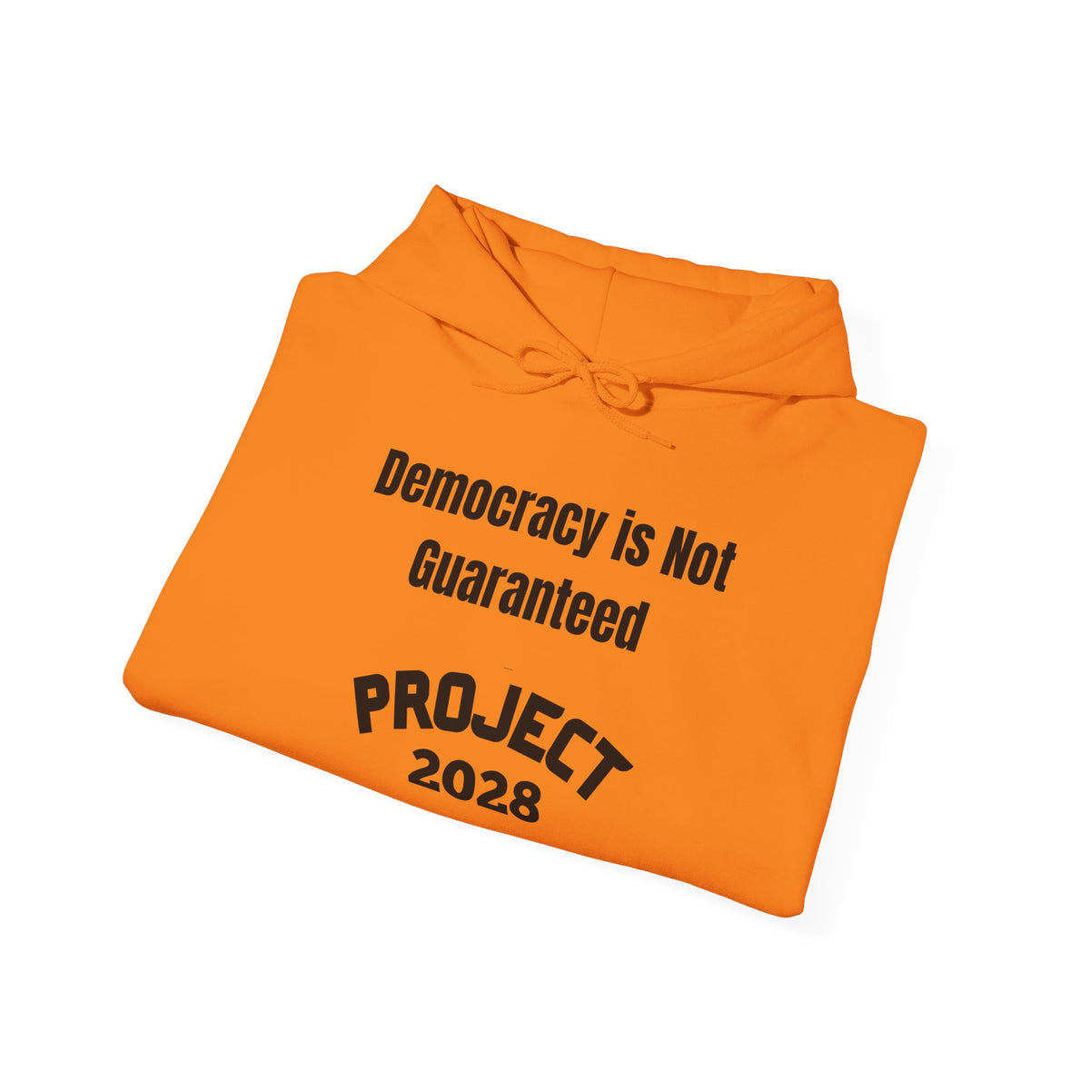 Copy of Project 2028 hoodie | Democracy | Social Awareness
