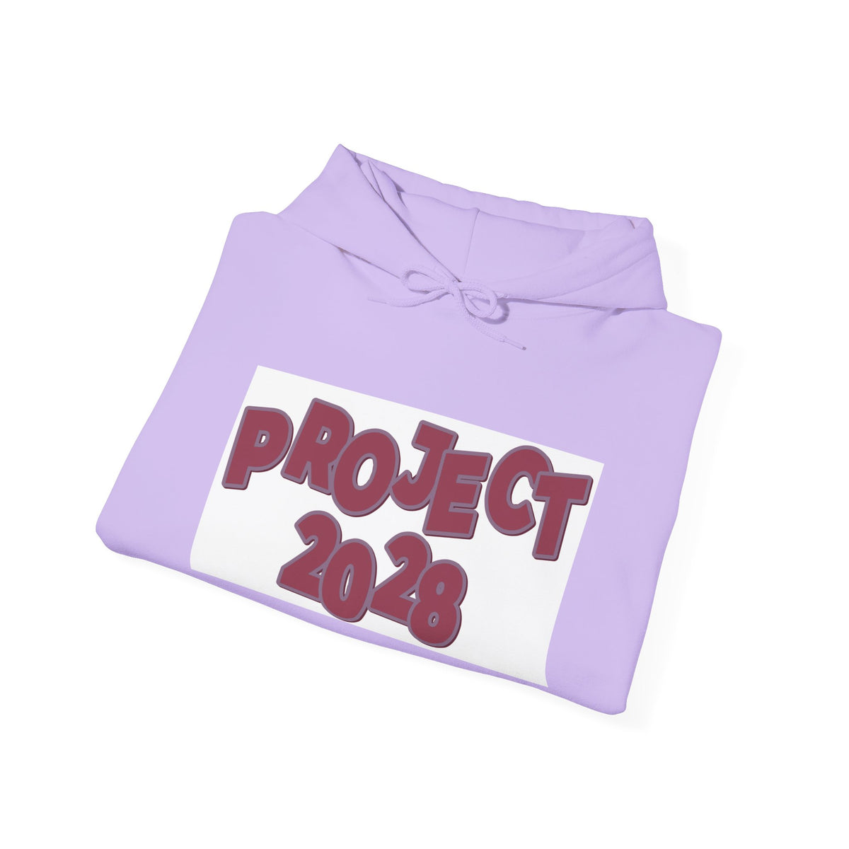 Project 2028 hoodie | Democracy Isn't Automatic back print