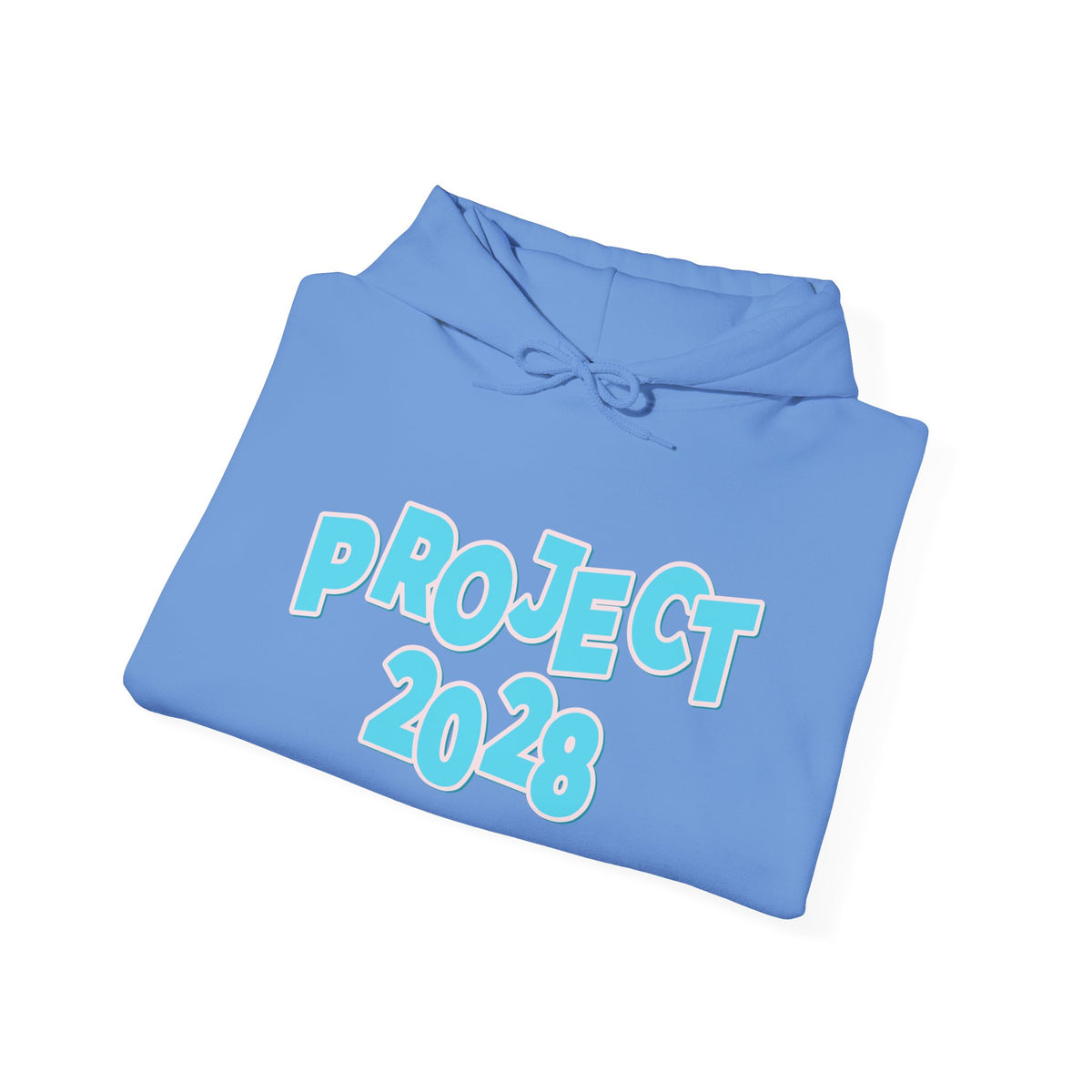 Project 2028 Hoodie | Democracy | Social Awareness