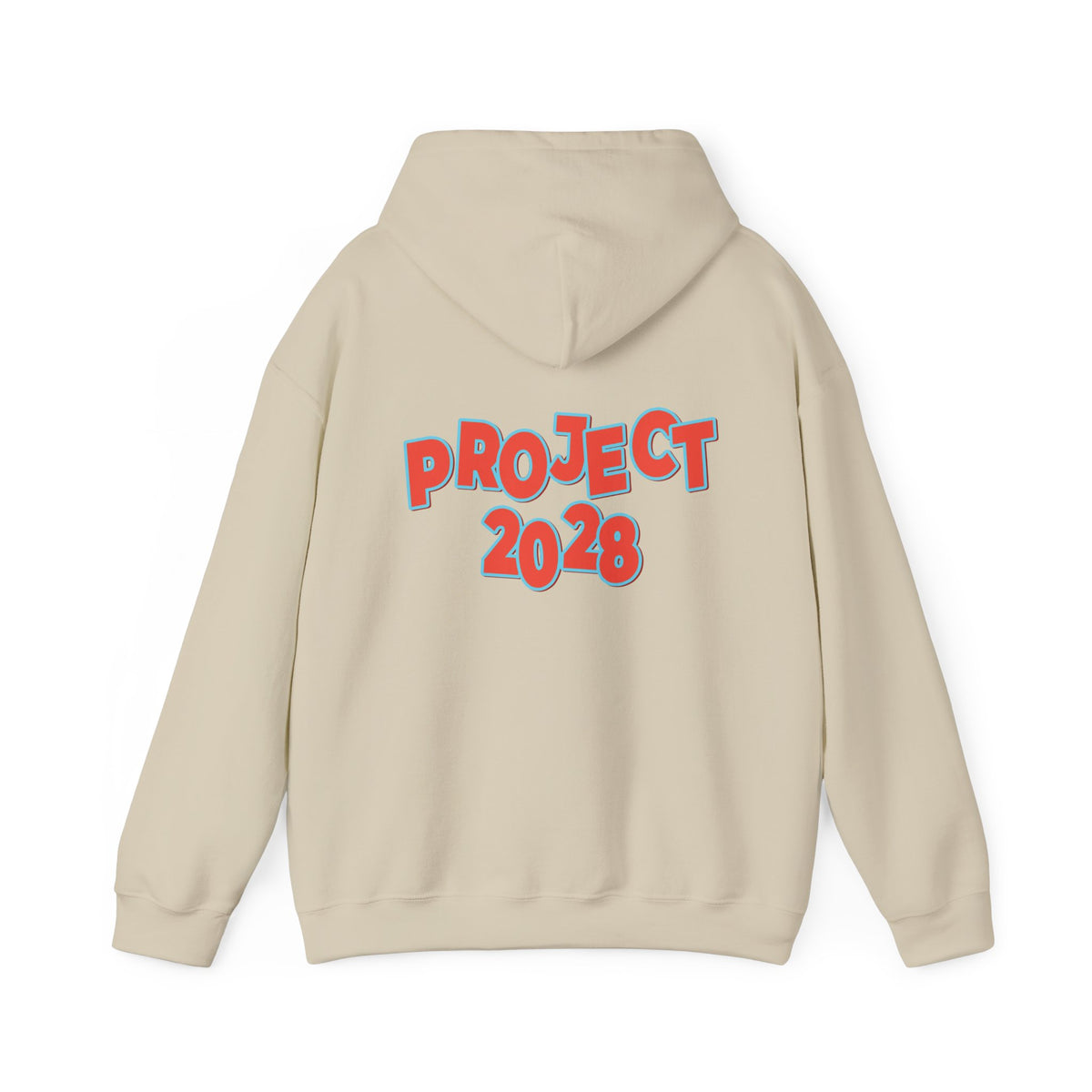Action Project 2028 Hoodie | Democracy Movement Sweatshirt