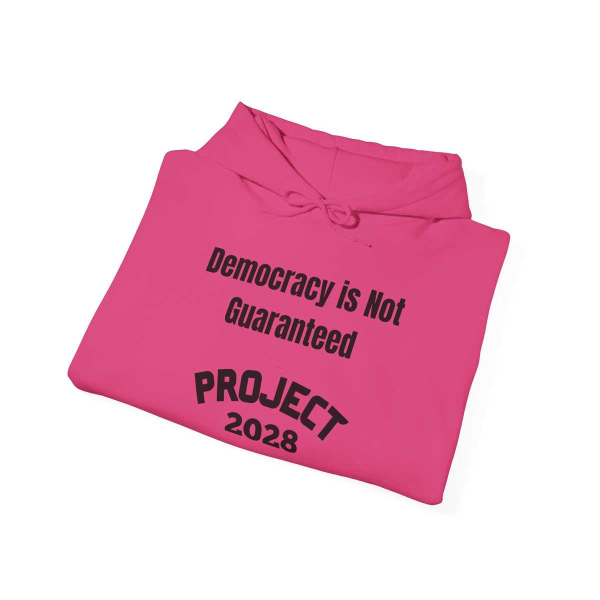 Project 2028 hoodie | Democracy | Social Awareness