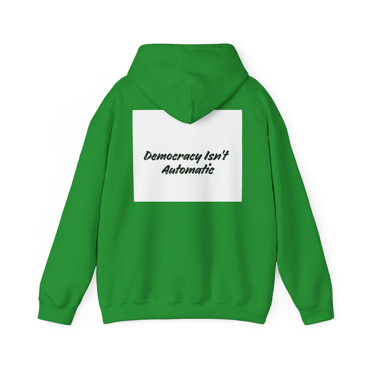 Protect Democracy Project 2028 Hoodie | Social Awareness
