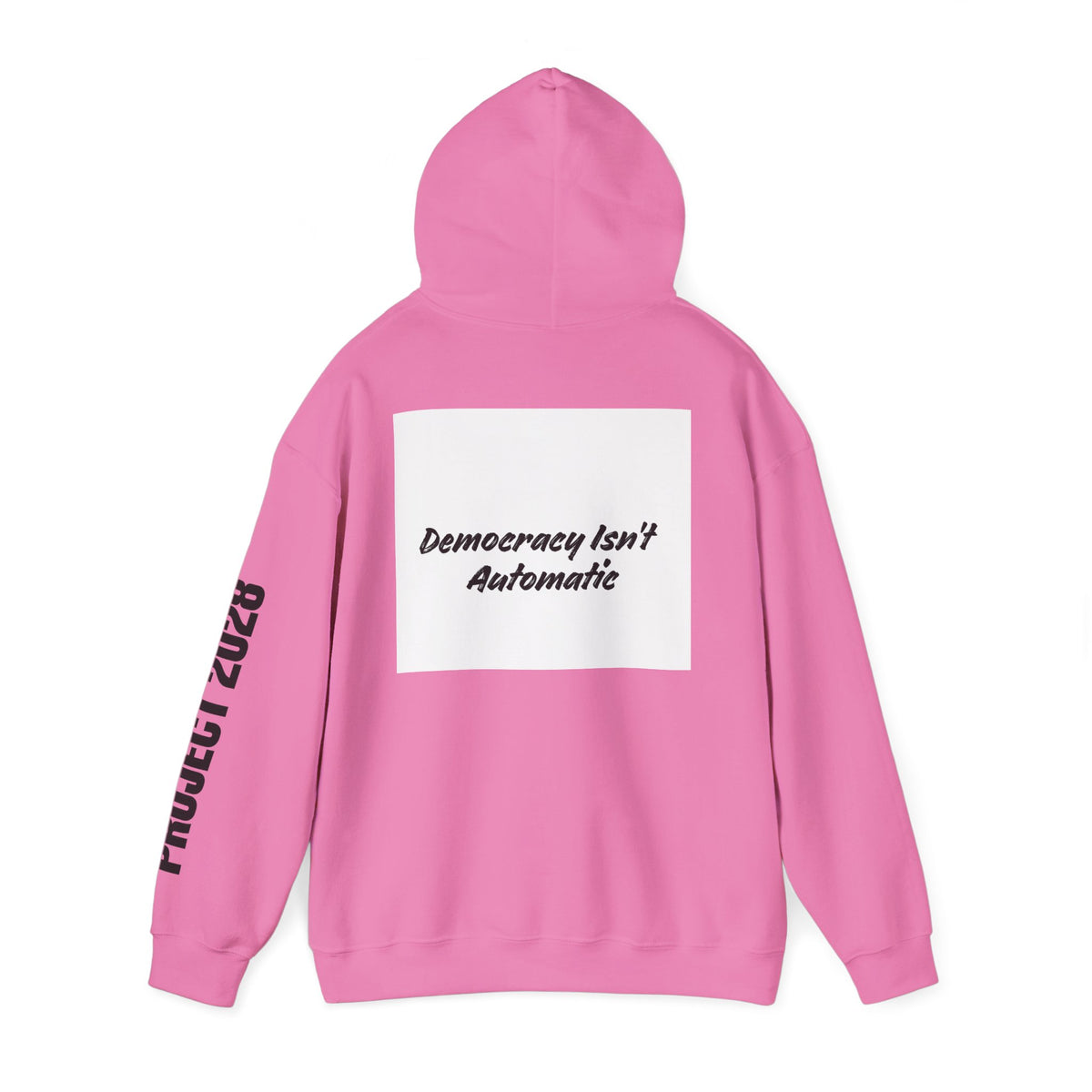 Protect Democracy Project 2028 Hoodie | Social Awareness