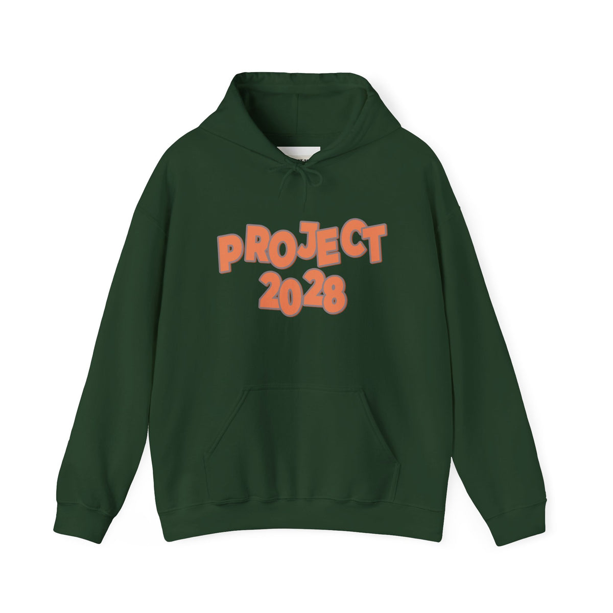 Project 2028 Hoodie | Democracy | Social Justice Message