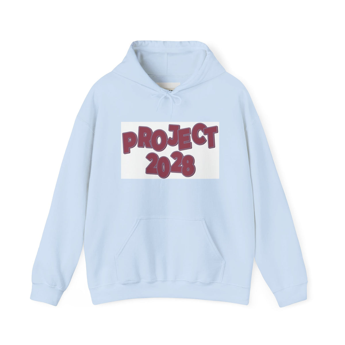 Project 2028 hoodie | Democracy Isn't Automatic back print