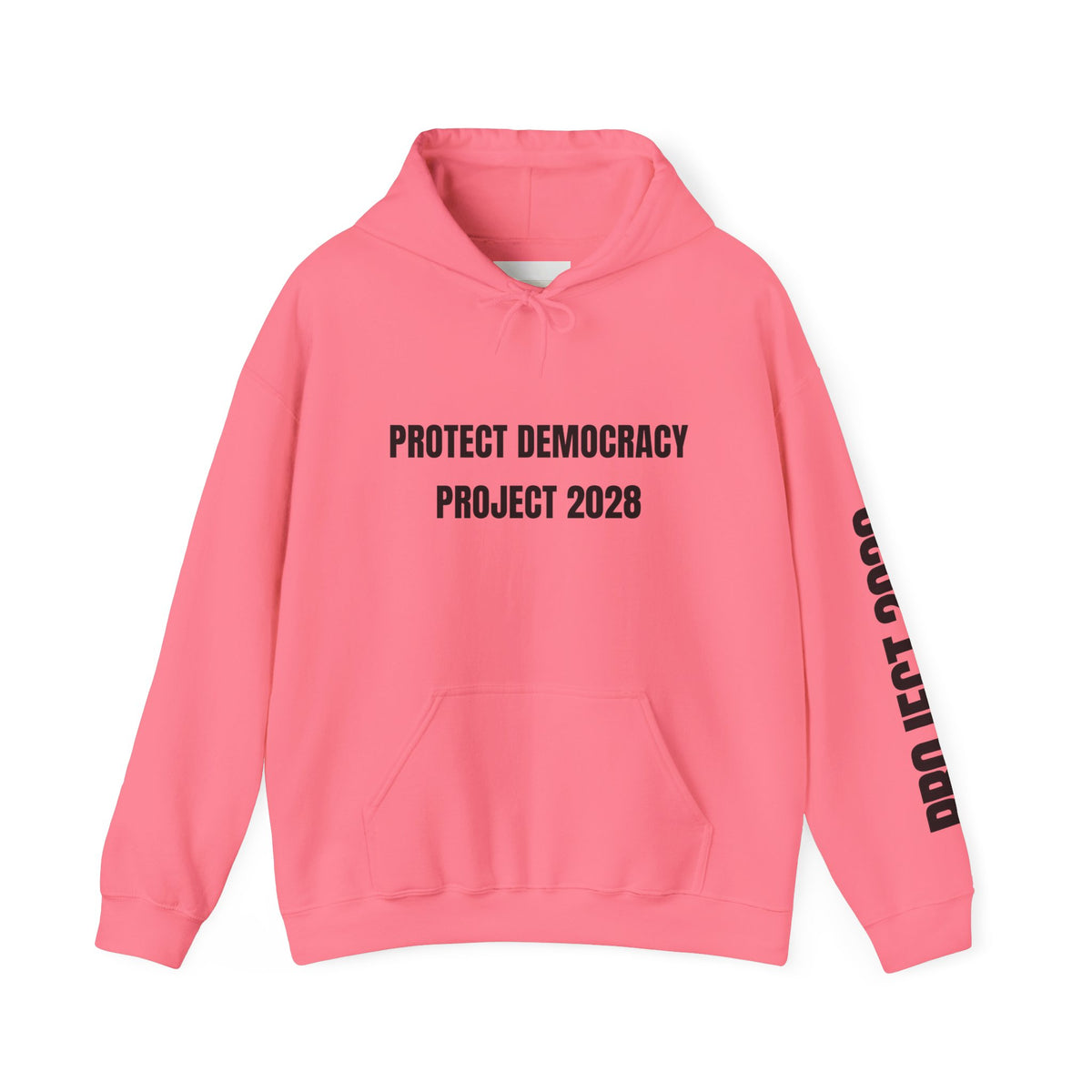 Protect Democracy Project 2028 Hoodie | Social Awareness