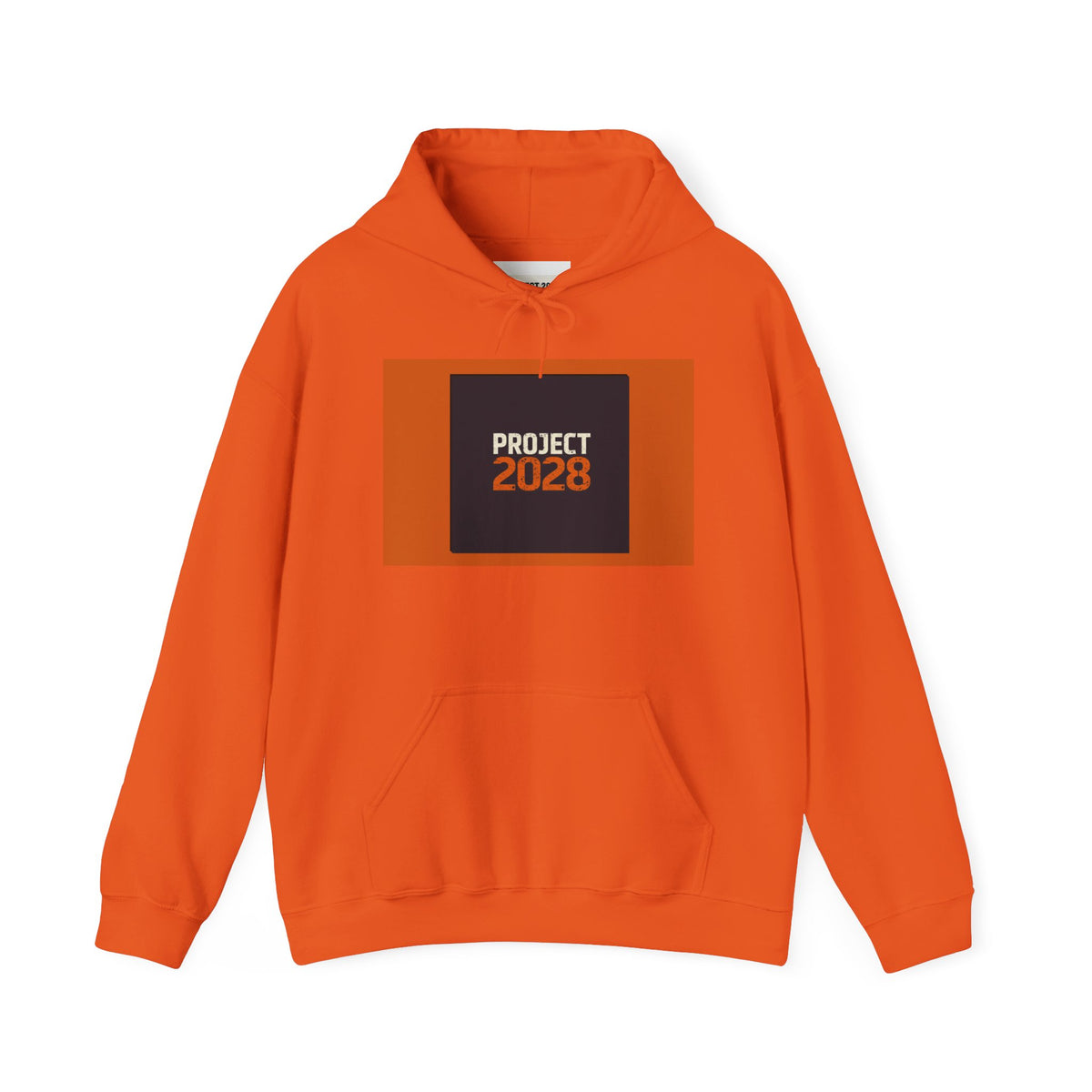 Project 2028 Graphic Hoodie | Democracy