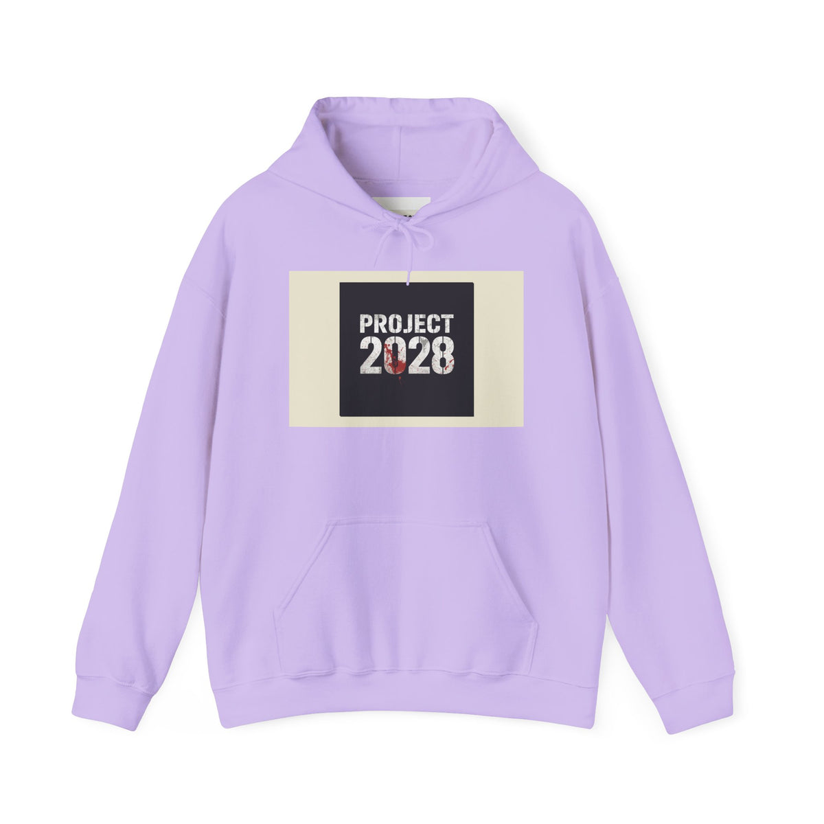 Product 2028 Graphic Hoodie | Democracy Isn't Automatic back print