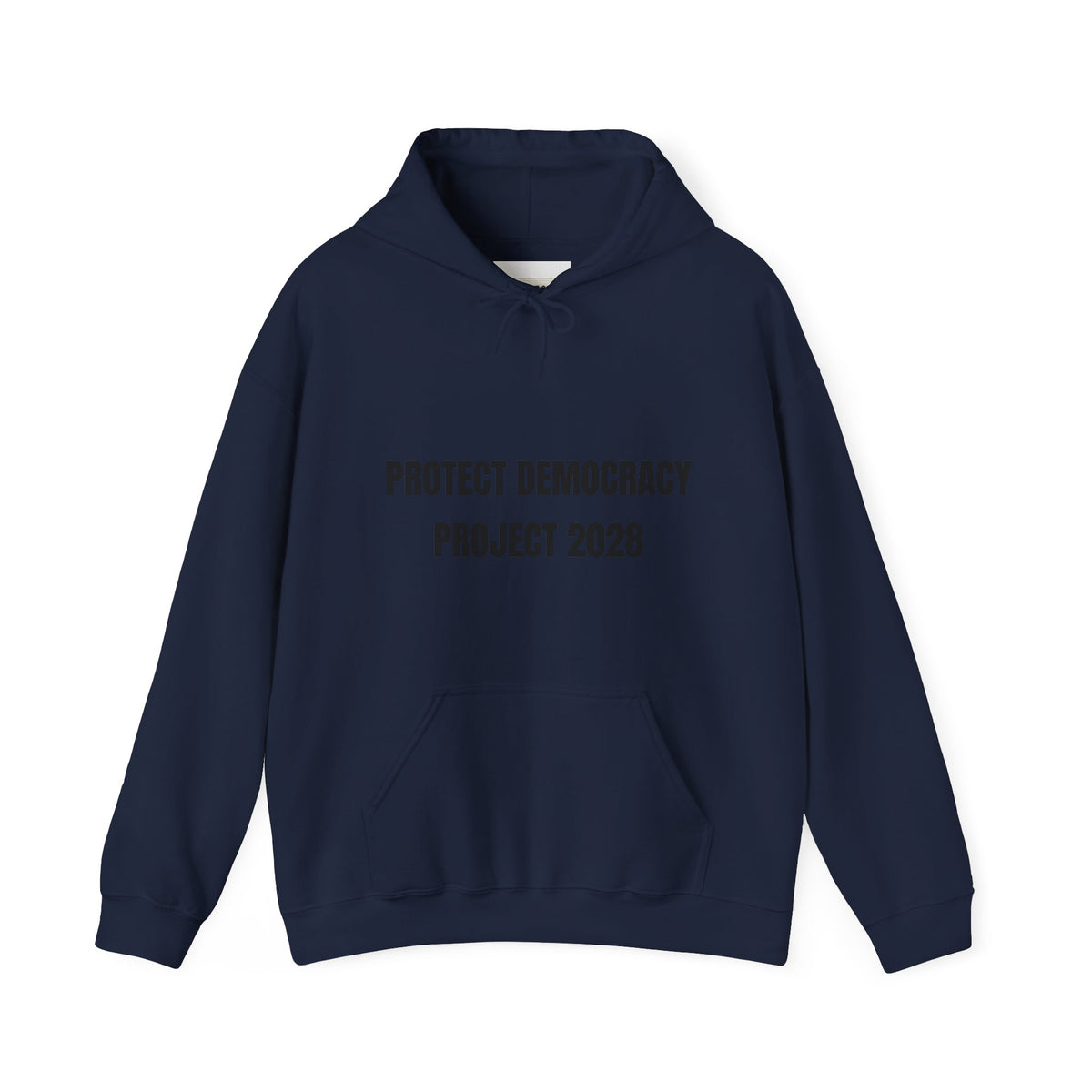 Protect Democracy Project 2028 Hoodie | democracy text design
