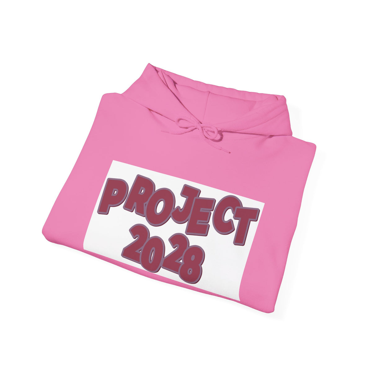 Project 2028 hoodie | Democracy Isn't Automatic back print