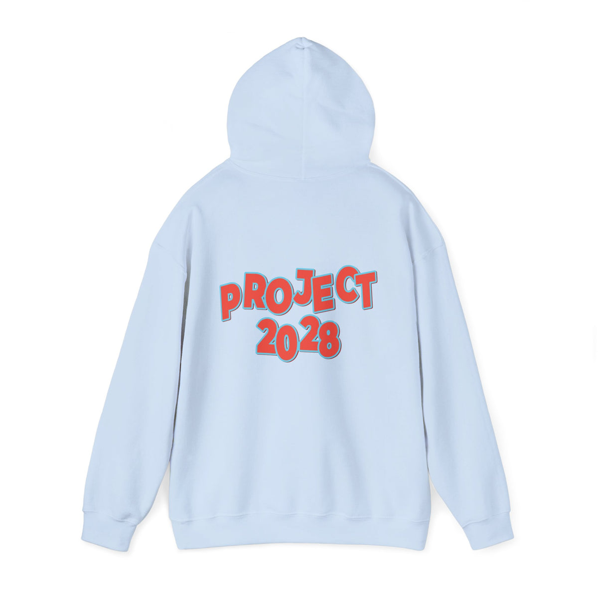 Action Project 2028 Hoodie | Democracy Movement Sweatshirt