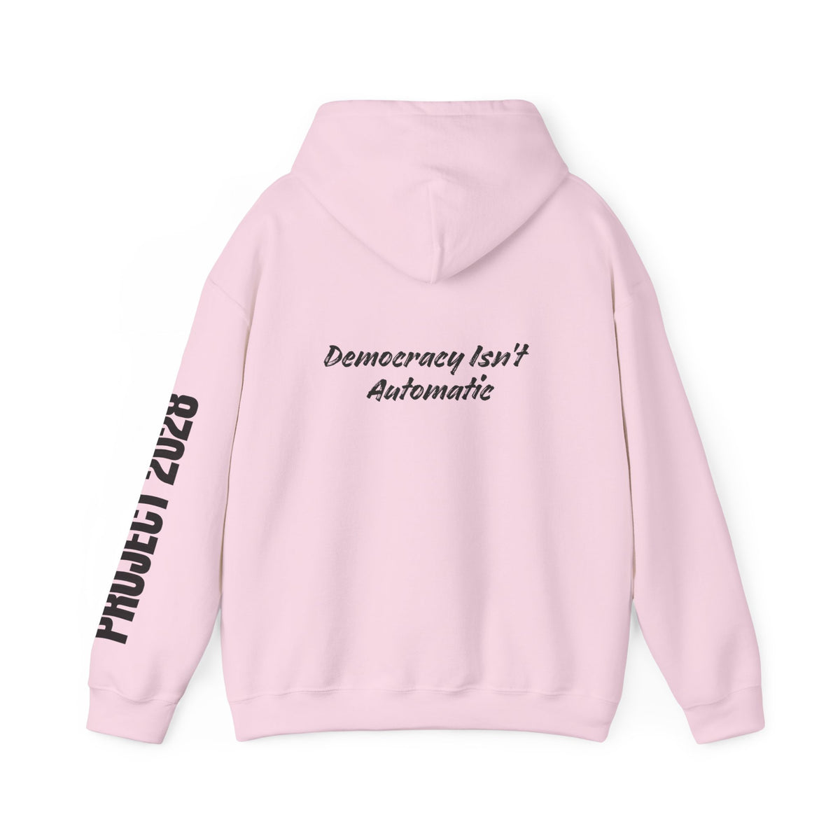 Protect Democracy Project 2028 Hoodie | Social Awareness
