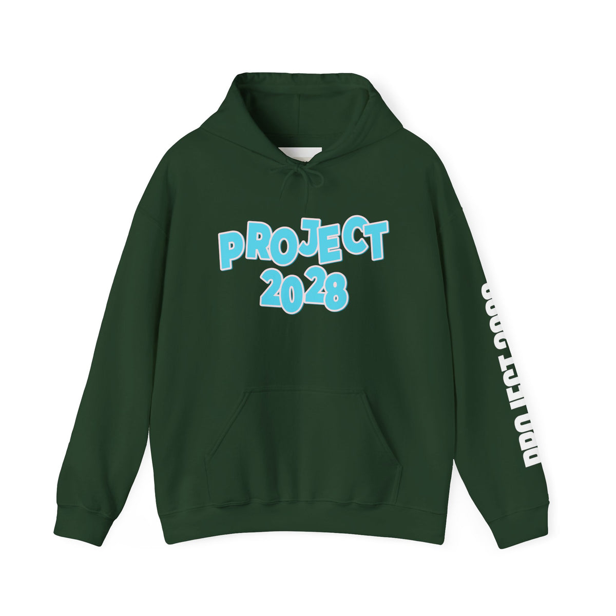 Project 2028 Hoodie | Democracy | Social Awareness