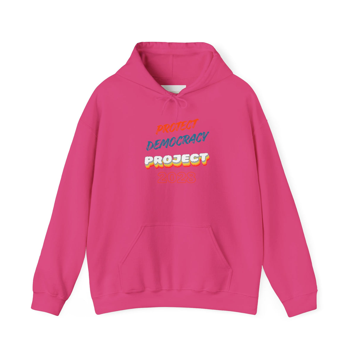 Protect Democracy Project 2028 Hoodie | Social Awareness