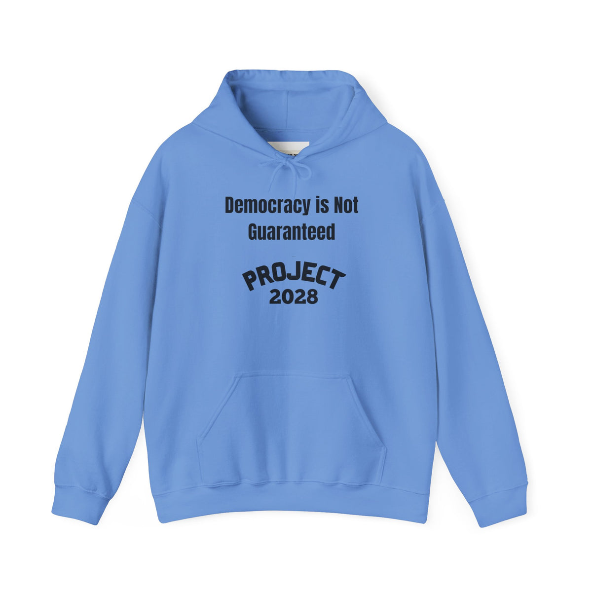Copy of Project 2028 hoodie | Democracy | Social Awareness