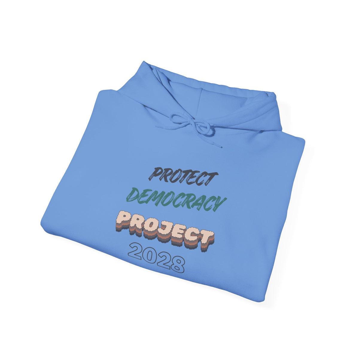 Project 2028 Hoodie | Protect Democracy graphic hoodie