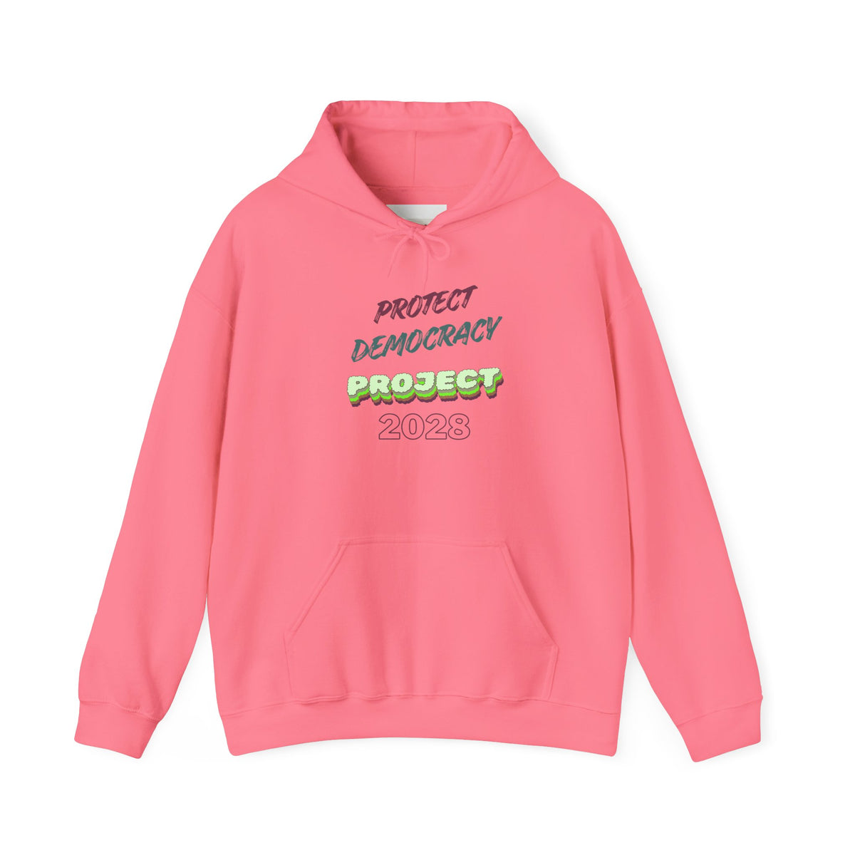 Protect Democracy Project 2023 Hoodie | Democracy Isn't Automatic