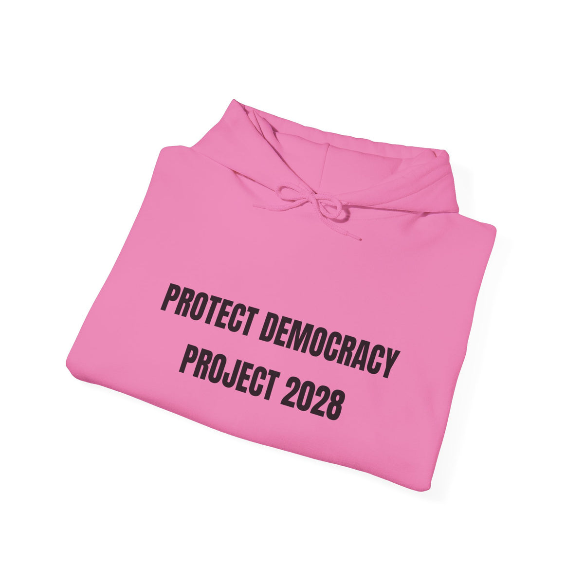 Protect Democracy Project 2028 Hoodie | Social Awareness