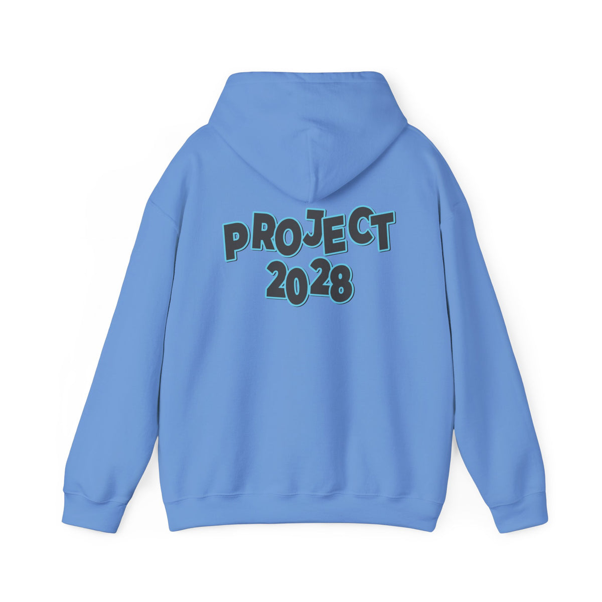 Project 2028 Hoodie | Protect Democracy, Project 2028 design