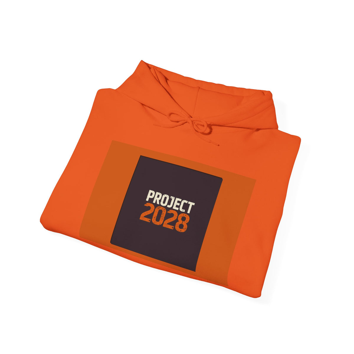 Project 2028 Graphic Hoodie | Democracy