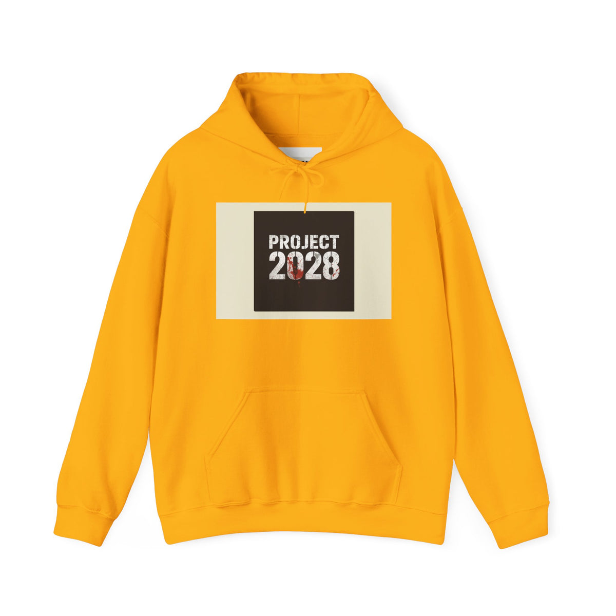 Product 2028 Graphic Hoodie | Democracy Isn't Automatic back print